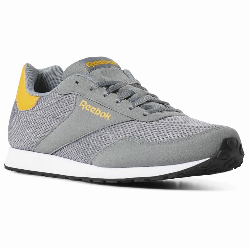 Tenisi Reebok Royal Dimension Barbati Gri/Aurii/Albi Romania VK5287VG